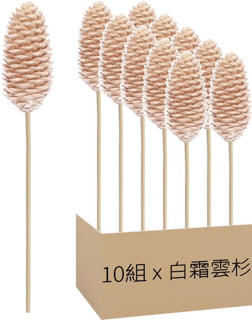 乾燥松果 4~6cm + 枝條2件組 10組, 白霜雲杉