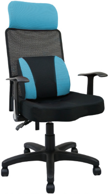 收納王妃 舒適電腦椅 EV-02D, 青色