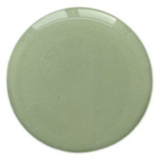 오프유 원형 스마트톡 휴대용 그립톡, 라이트그린, 1개