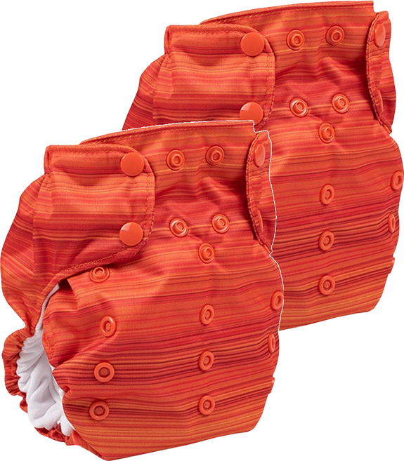 Smart Bottoms Diaper 2.0 Horizon 新生兒尿布 (2.7-7.3公斤) 100%防水層聚酯, 2件