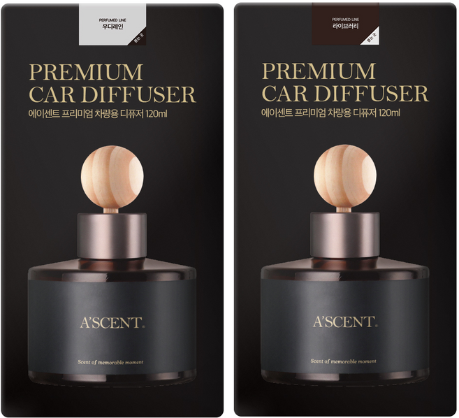 에이센트 차량용 디퓨저 120ml 2p, 우디레인, 라이브러리, 1세트