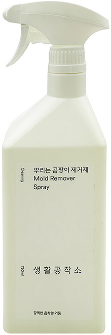 Saengong 生活工作所 噴式除霉劑 蘋果香, 750ml, 1個