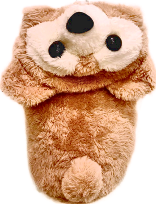 SassyDog 變裝外套, 小熊, 1件