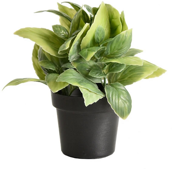 Meric Garden 創意北歐仿真療癒小綠植盆栽 台灣產, 海棠葉 黑色 + 綠色, 1個