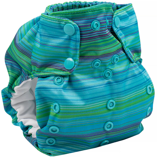 Smart Bottoms Diaper 2.0 布尿褲 成長型 AIO 5-15kg, Reef, 1件