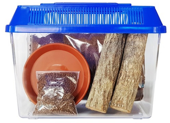 벅스킹덤 도둑게 초급자 사육세트, 블루, 1세트