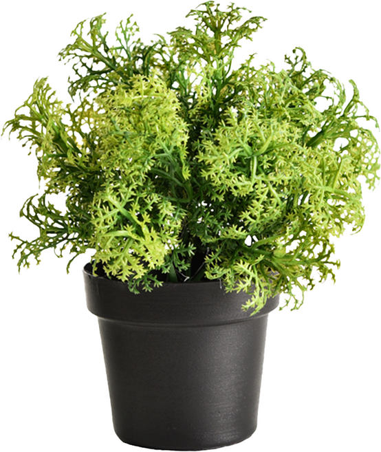 Meric Garden 創意北歐仿真療癒小綠植盆栽 桌面裝飾擺設, 香芹葉, 1個