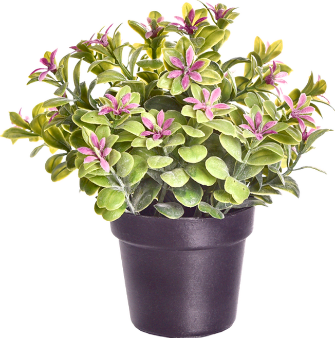 Meric Garden 仿真植物小盆栽 全長17cmX16cm, 七里香粉紅花, 1個