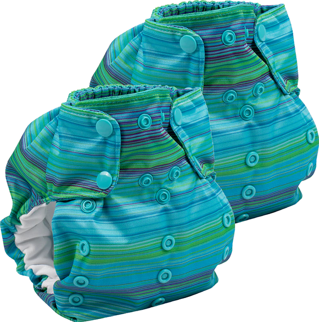 Smart Bottoms Diaper 2.0 布尿褲 成長型 AIO 5-15kg, Reef, 2件