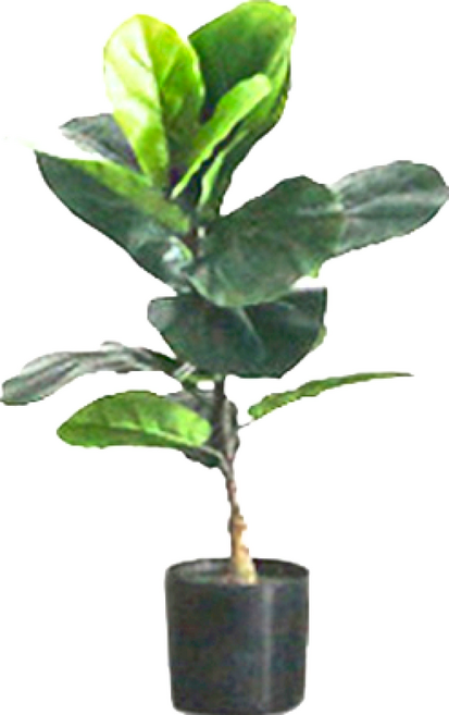 Meric Garden 北歐風格居家裝飾高仿真大型景觀植栽擺設盆栽 S, 琴葉榕 綠色, 1個