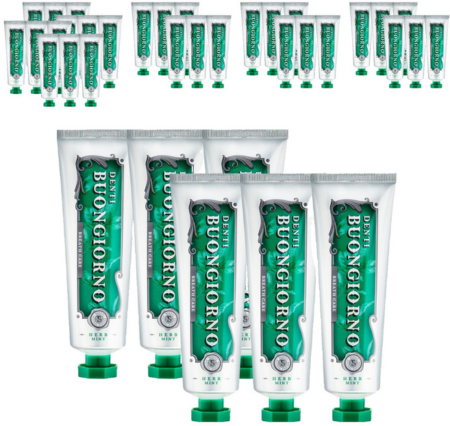 덴티본조르노 민트향 구취케어 치약, 100g, 36개