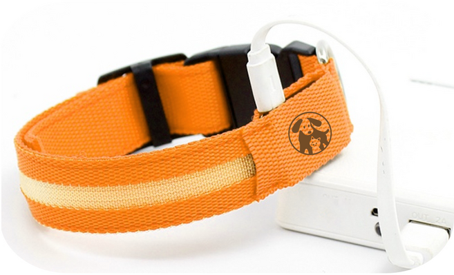 멍멍군나비양 강아지 USB 충전식 LED 야광목줄, 오렌지, 1개