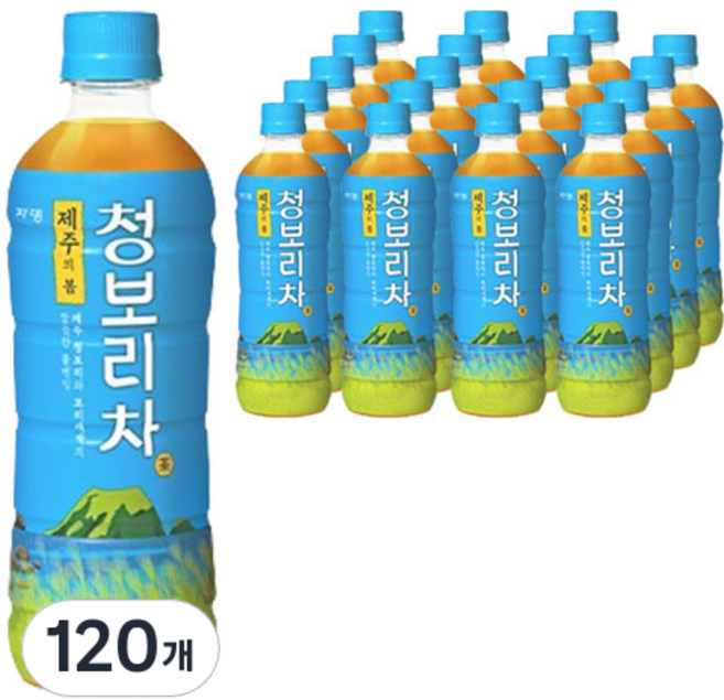 쟈뎅 제주의 봄 청보리차, 500ml, 120개