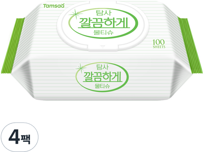 탐사 깔끔하게 물티슈, 100매, 4개