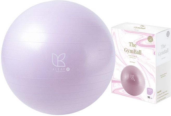 아리프 안티버스트 짐볼 + 에어펌프 + 공기마개, 라벤더