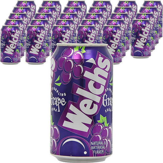 웰치스 그레이프맛, 355ml, 48개