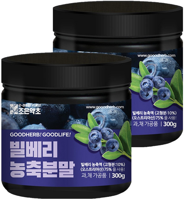 조은약초 빌베리 농축분말, 300g, 2개