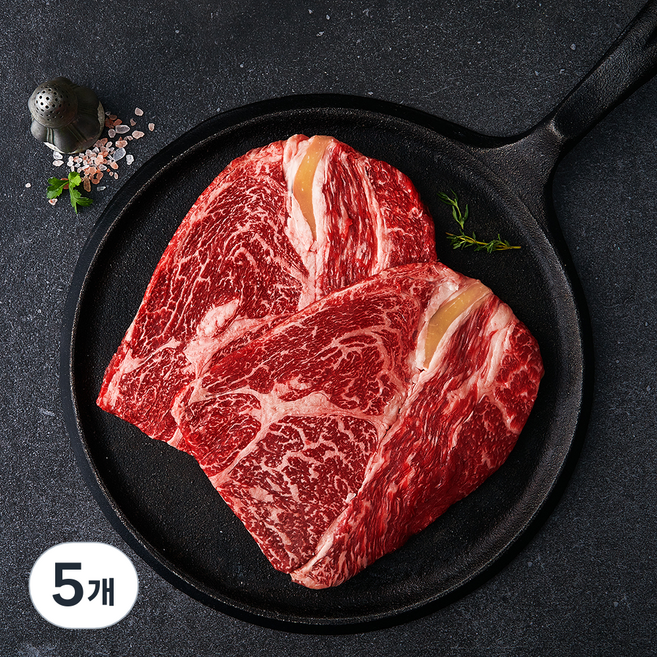 실속한우 조은장터 한우 숙성숙성등심 1++(7)등급 구이용 (냉장), 5개, 200g