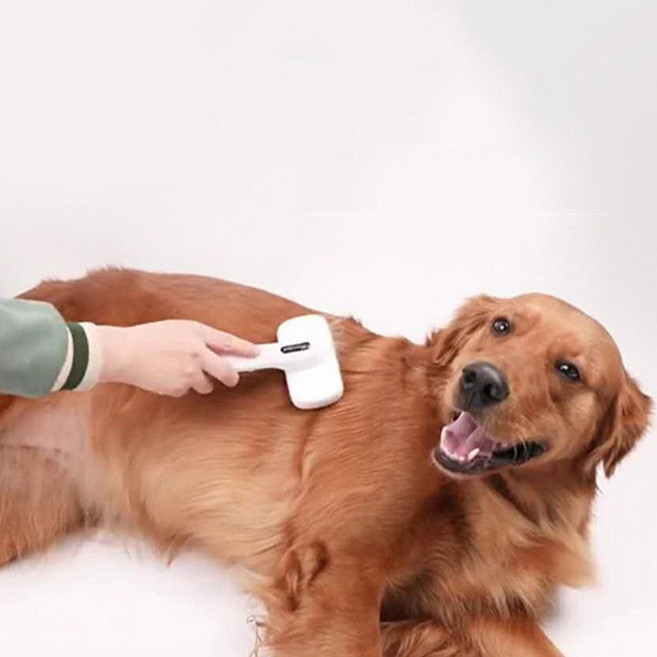 놀자리빙 반려동물 쓰담 브러쉬 10.7 x 19.5 cm, 그레이, 1개