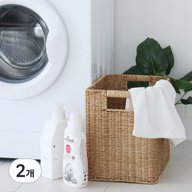 네이쳐리빙 데이지가든 내츄럴 깊은 라탄 바구니, 2개