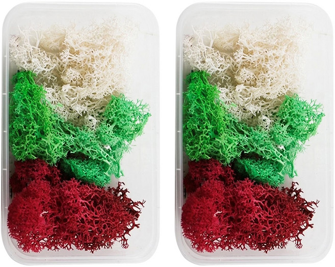 A-ONE 匯旺 乾燥花 永生苔癬 A19 2個, 白色 + 綠色 + 紅色