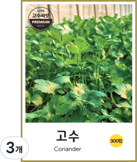 고수씨앗 300립, 3개