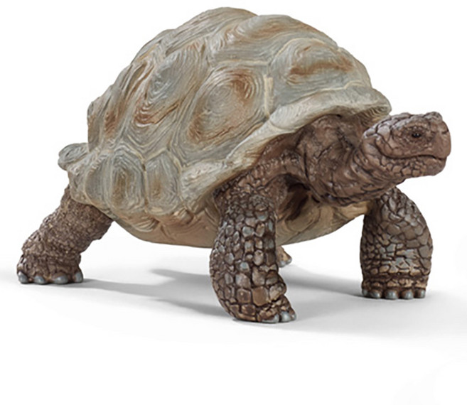 슐라이히 자이언트 거북 피규어 SL14824, 1개