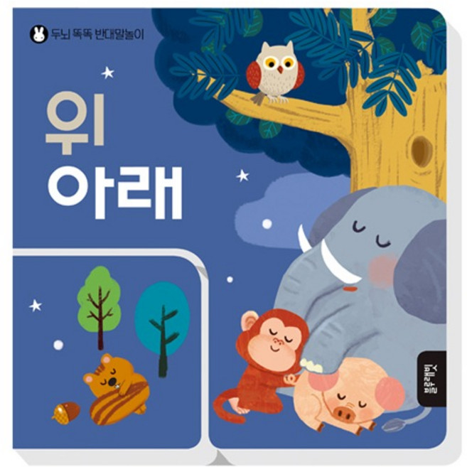 블루래빗 위 아래