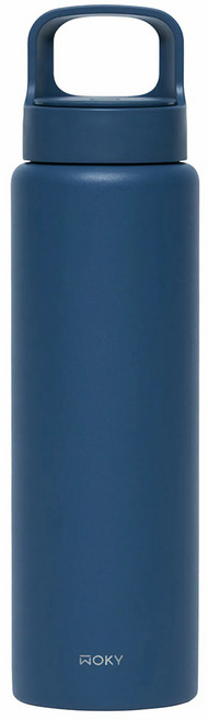 WOKY 沃廚 台灣公司貨 輕芯鈦提手運動保溫瓶, 晴藍, 850ml, 1個