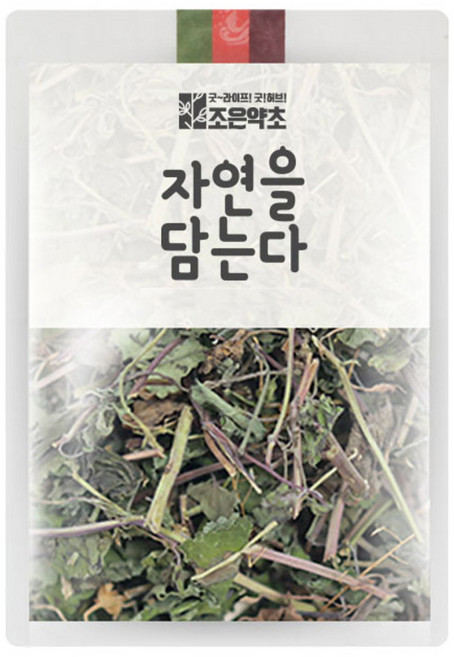 조은약초 금전초, 200g, 1개