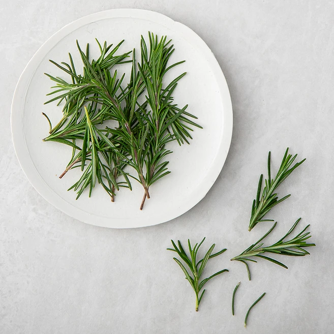 국내산 로즈마리, 10g, 1개 - 쿠팡