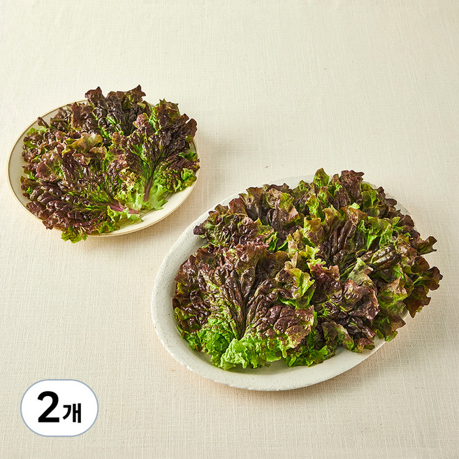 국내산 친환경 적상추, 200g, 2개