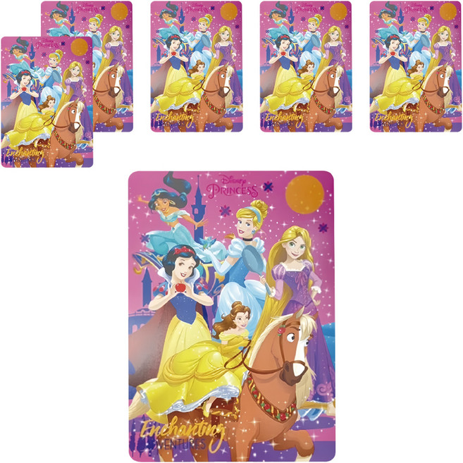 收納王妃 迪士尼 公主系列 雙面墊板 WP0597 6個 1組, 5位公主款