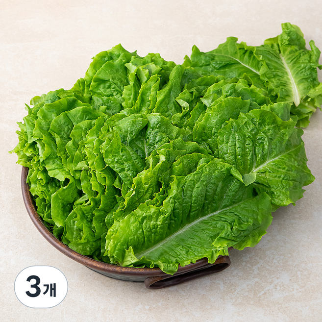국내산 청상추, 1kg, 3개