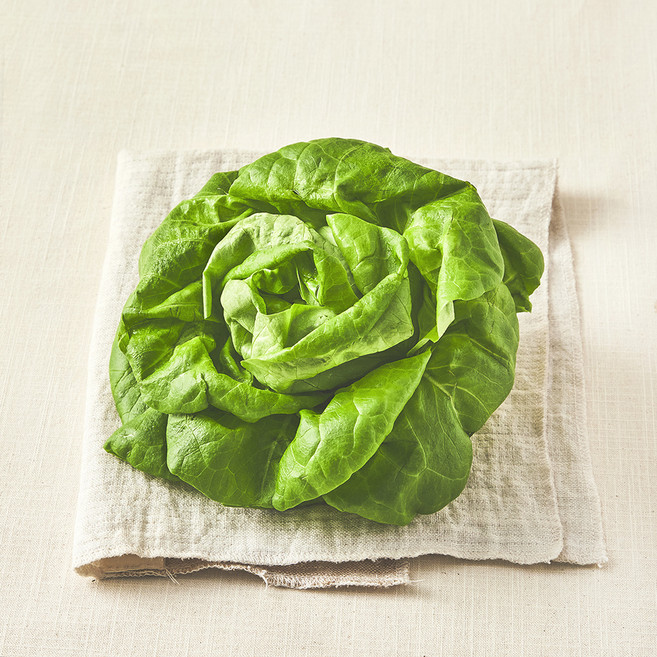 국내산 무농약 버터헤드레터스, 90g, 1개