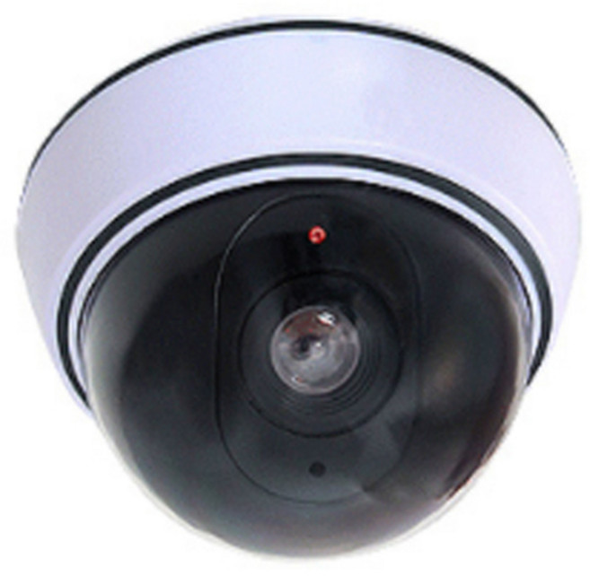 씨앤티커머스 모형 고급형 돔카메라 실내용, 1개
