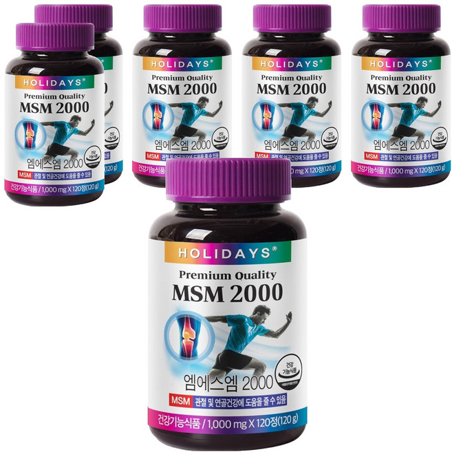 홀리데이즈 MSM 2000, 120정, 6개