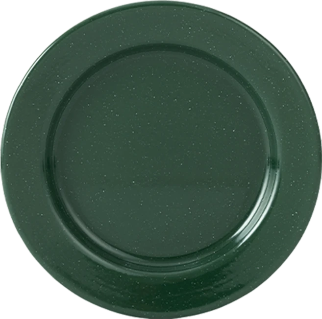 K99 플랫플레이트, 1개, 본품, 그린스펙클 - 쿠팡