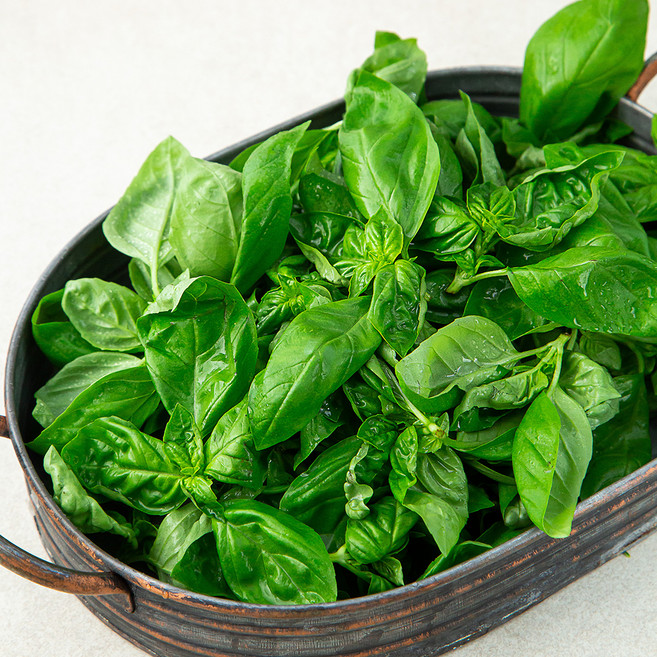 국내산 바질, 1개, 100g