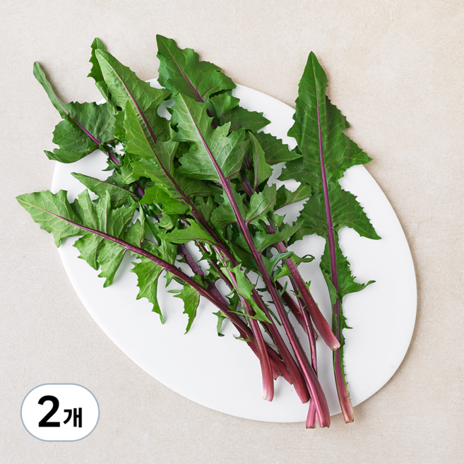 적치커리, 2개, 100g