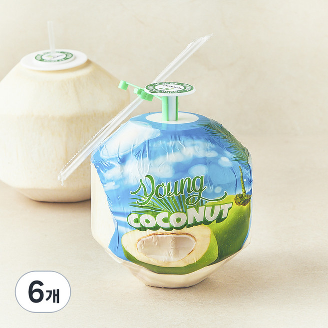 수플린 베트남산 영코코넛, 6개, 900g