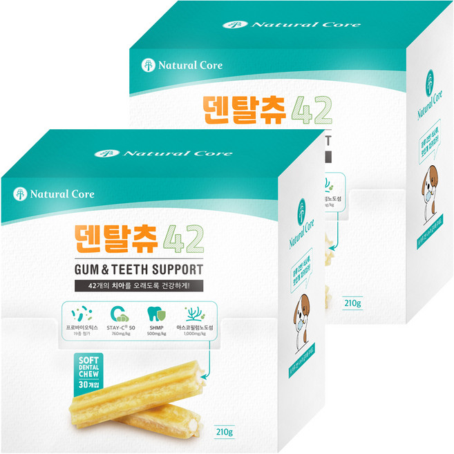네츄럴코어 강아지 소프트 덴탈츄 42 30p, 곡류, 210g, 2개