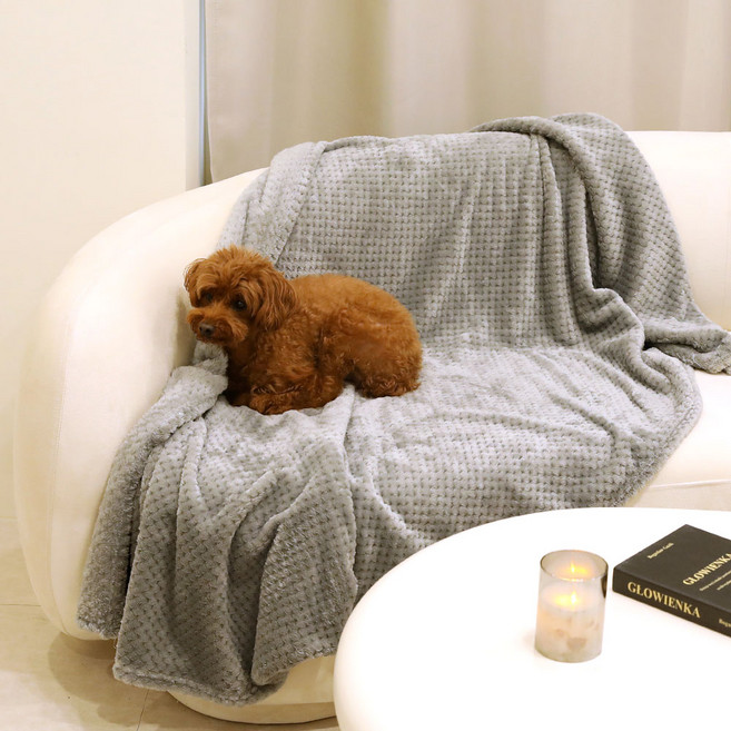 조아트 포근한 극세사 다용도 무릎담요, 와플그레이,100x150cm, 1개