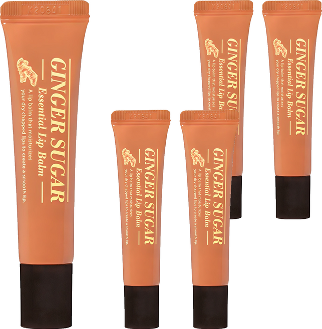 에뛰드 진저슈가 에센셜 립밤, 15ml, 5개