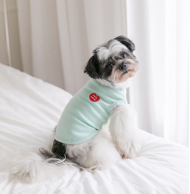 펫츠랜드 강아지 데일리하트 모노 티셔츠, 민트, 1개