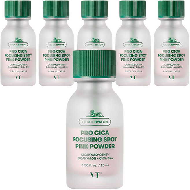 브이티코스메틱 프로 시카 포커싱 스팟 핑크 파우더, 15ml, 6개