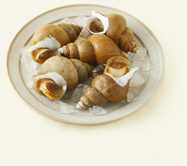 이프로마켓 동해안 당일바리 백골뱅이 생물 원물중량 1kg (냉장), 800g(특대), 1개
