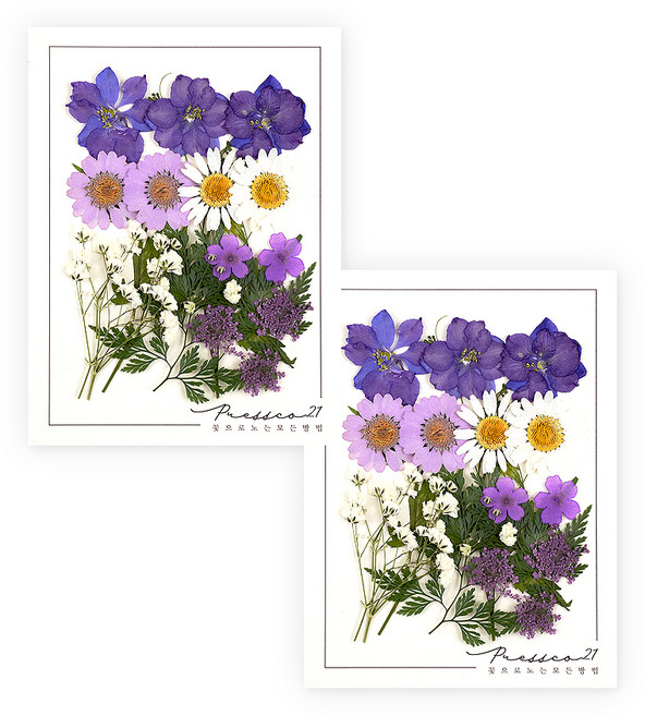 프레스코21 압화 종합팩, K103, 2세트