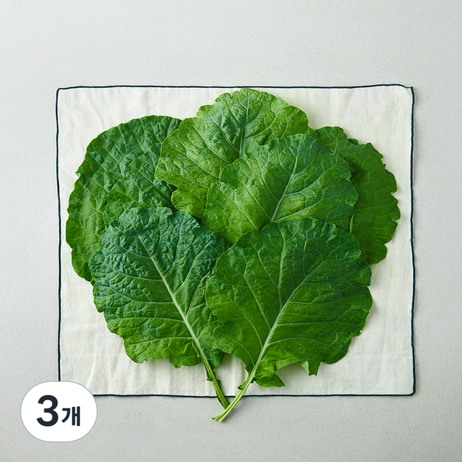 유기농 녹즙용 케일, 300g, 3개