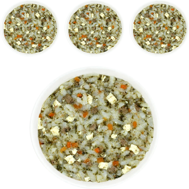 짱죽 실온 이유식 후기 진밥, 소고기흰콩진밥, 160g, 4개